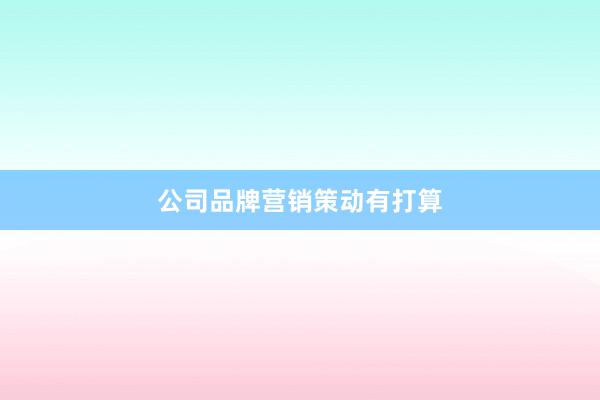 公司品牌营销策动有打算