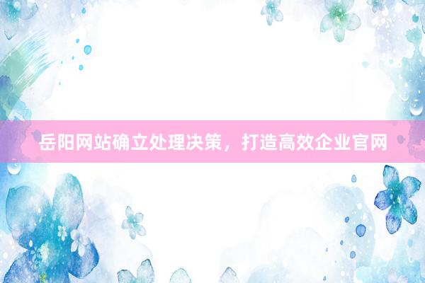 岳阳网站确立处理决策，打造高效企业官网