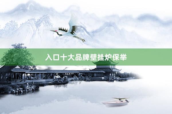 入口十大品牌壁挂炉保举