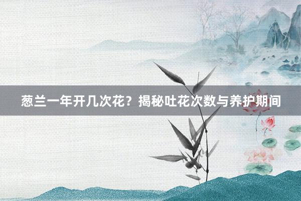 葱兰一年开几次花？揭秘吐花次数与养护期间