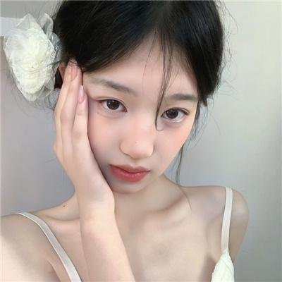 山中森林